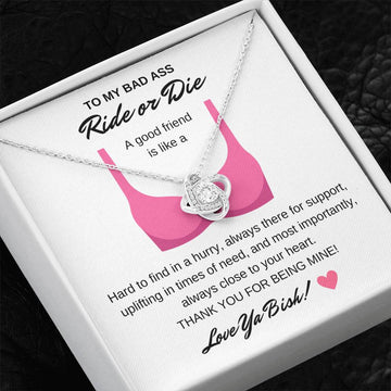 To My Bad Ass Ride or Die - You're Like a Bra - Love Knot Necklace